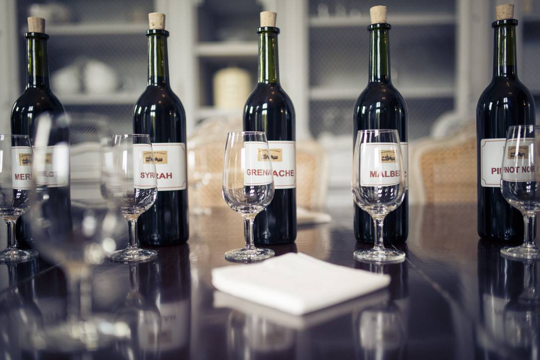 Team Building Vin - Wine Making Academy