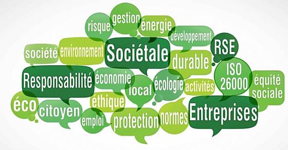 Expérience RSE - Introduction à la RSE