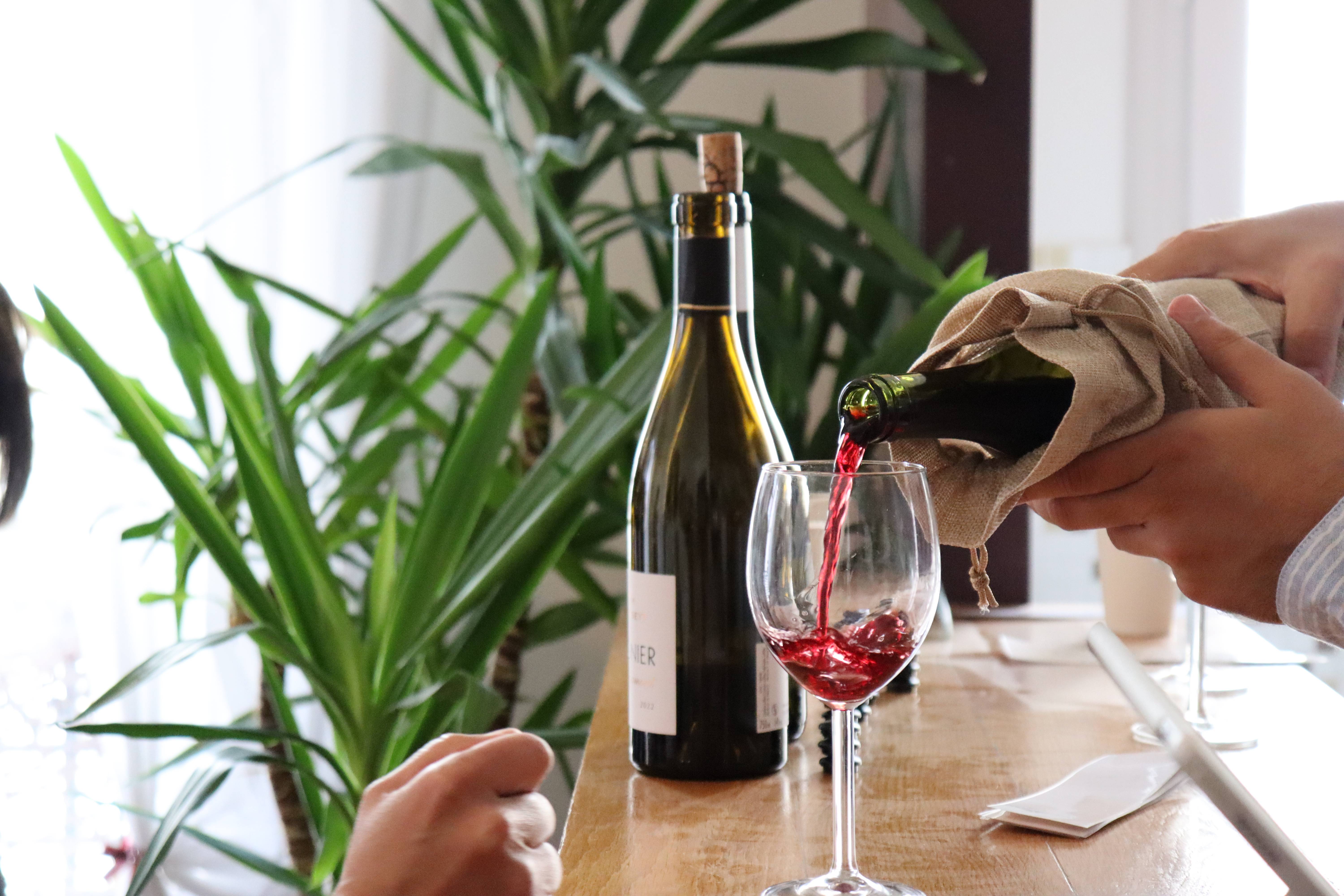 Dégustation de vins ludique:  Le Manoir du Caviste