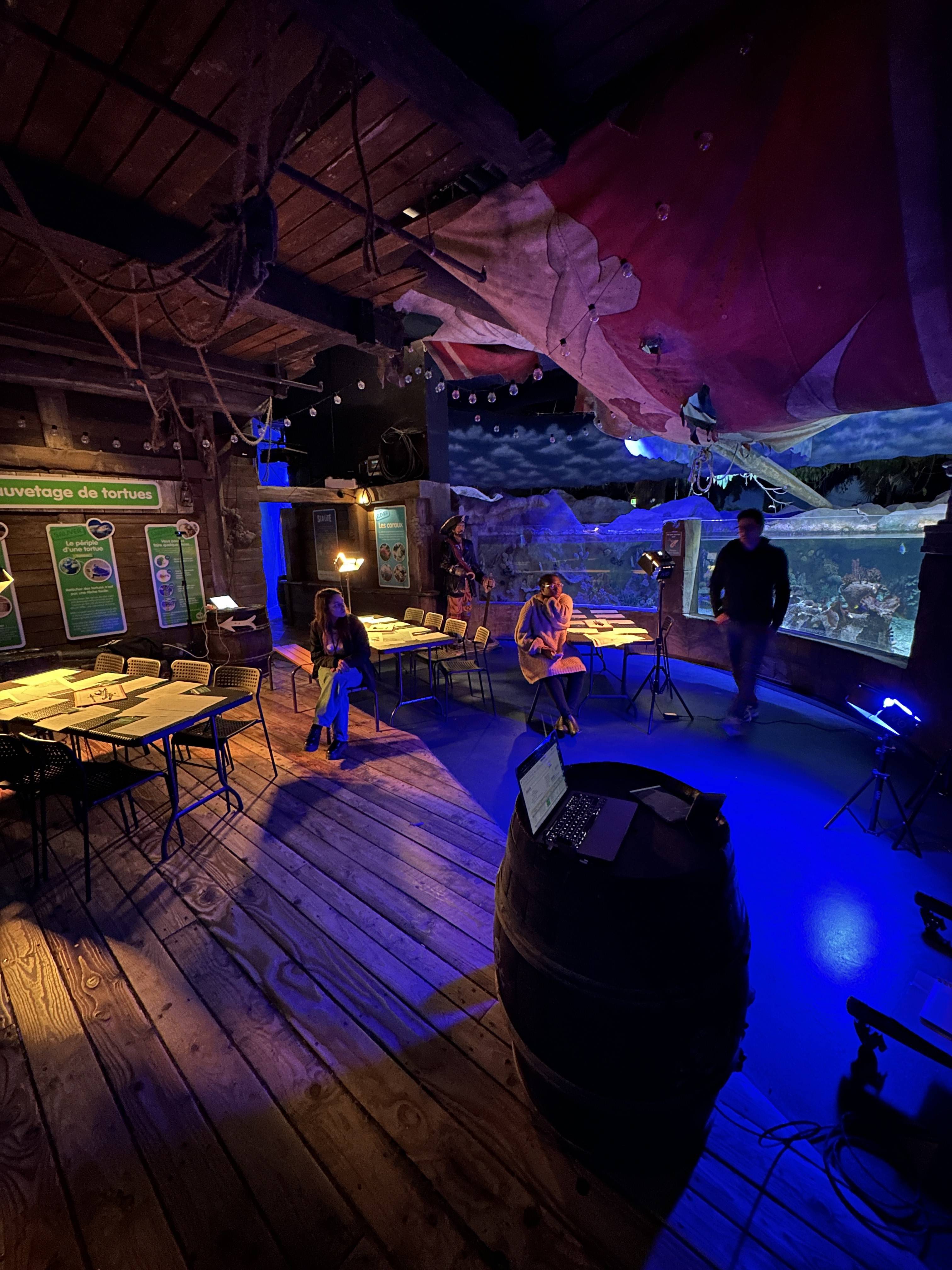 Teambuilding - Expérience Immersive - Sauvetage Tortue 77