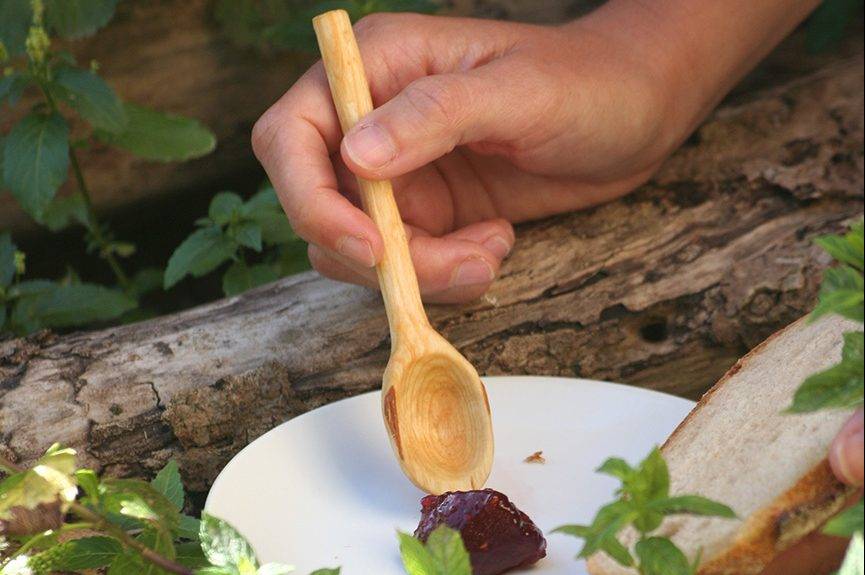 Découverte des plantes sauvages comestibles