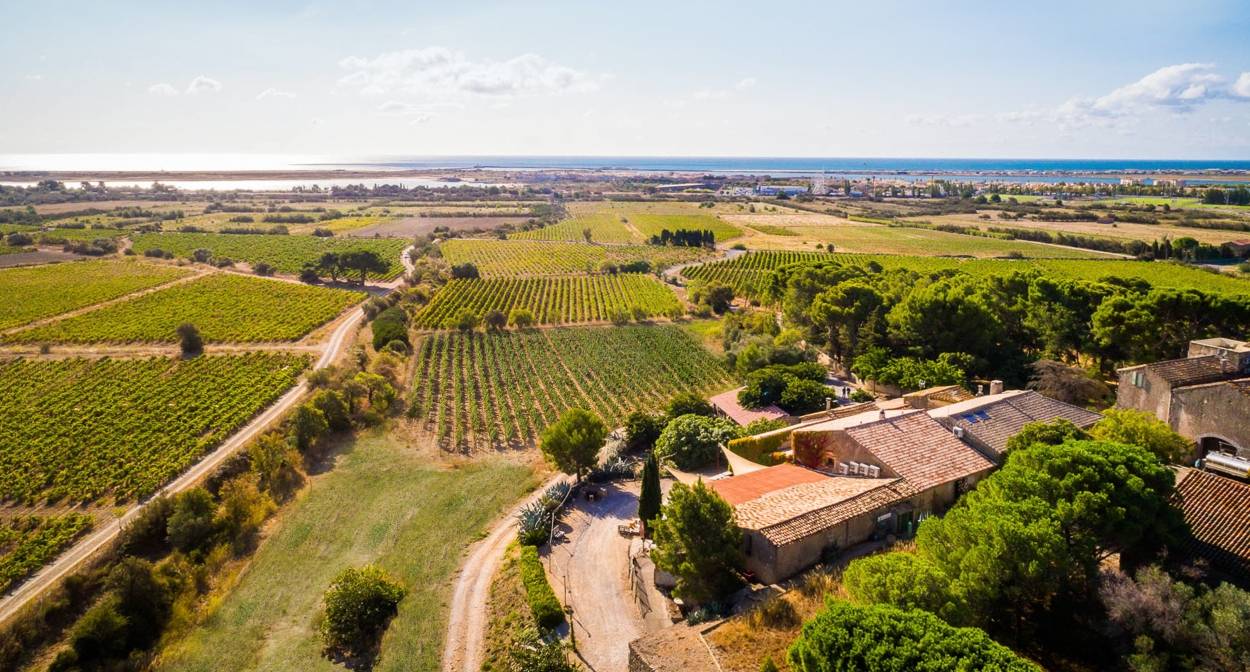 Château Le Bouis