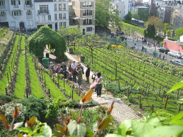 Team Building Rallye Vin à Montmartre
