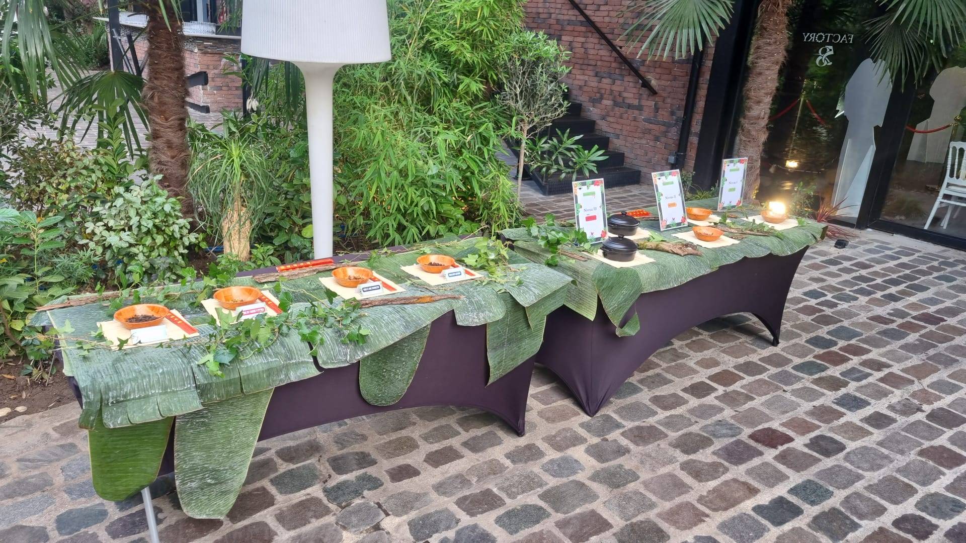 Dégustation Insectes