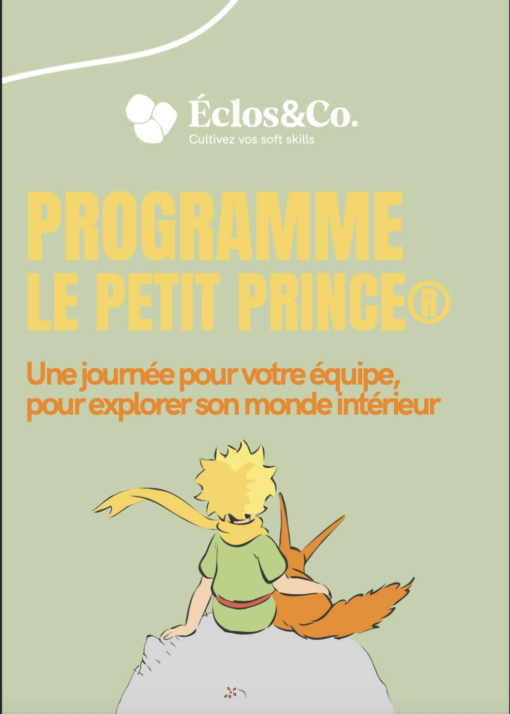 Team Building inspiré de l’univers du PetitPrince®